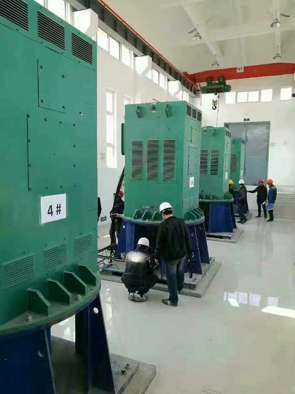 迪庆某污水处理厂使用我厂的立式高压电机安装现场